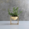 Bowlbrass_small_herbs_kitchen.jpg
