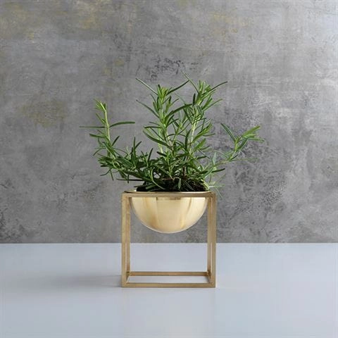 Bowlbrass_small_herbs_kitchen.jpg