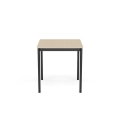Base-table-70x70-black-lacquered-oak-veneer-Muuto-4000x4000-rendering_7.jpg