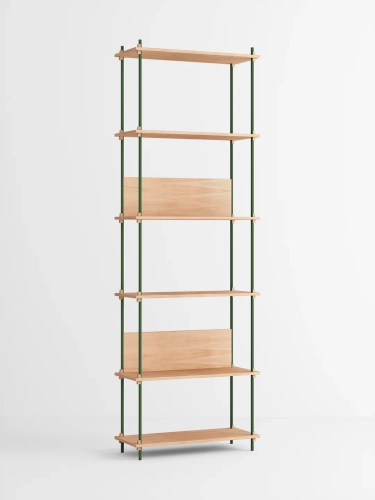 MOEBE_Shelving-System_PP_S.255.1.A_Oak_Pine-Green_Low-Res.jpg.webp