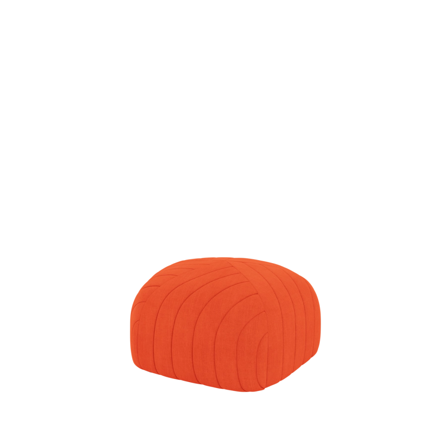 31.png