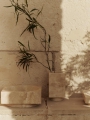 FermLiving_SS25_HewVase_Travertine_1104271229_HewHighCentrepiece_Travertine_1104271231.jpg