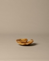 FermLiving_SS25_PackshotsWithBackground_SolSaladServers_SetOf2_SugarKelp_1104270709.jpg