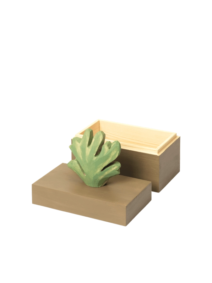 FermLiving_SS25_HarbourBox_Coral_MistletoeTan_1104271088_2.png