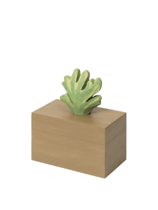 FERM LIVING pudełko HARBOUR BOX CORAL zielone / beżowe