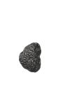 FermLiving_SS25_ComberCoralHookAluminium_BlackenedAluminium_1104270839_1.png