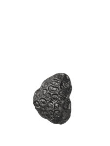 FERM LIVING wieszak COMBER CORAL czarny 