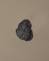 FermLiving_SS25_PackshotsWithBackground_ComberCoralHookAluminium_BlackenedAluminium_1104270839.jpg