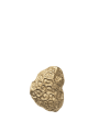 FermLiving_SS25_ComberCoralHookBrass_Brass_1104270838_1.png