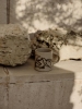 FermLiving_SS25_VueloMug_Cream_1104270719.jpg