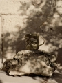 FermLiving_SS25_VueloMug_ElmGreen_1104270721.jpg