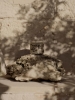 FermLiving_SS25_VueloCup_Cream_1104270716.jpg