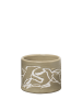 FermLiving_SS25_VueloCup_ElmGreen_1104270718_1.png