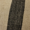 tcu0013-lr_a_01.jpg