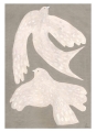 Clara_Schicketanz_Two_Birds_Product_Low_Res-800x1100.jpg