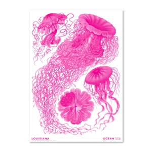 Louisiana druk artystyczny Haeckel – Haeckel – Discomedusae pink - Ocean (2024)