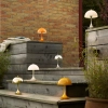 63113_63113_FB-IG-SingleImage-AW24-Panthella-EkstraFormats-NOTEXT-4x5-02.png.webp