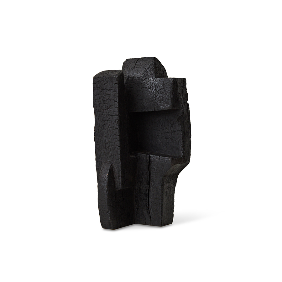 aos0011-lr_a_01.jpg