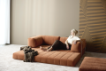 CozyPad-Sofa-Bed-with-arms-412\CozyPad-Sofa-Bed-with-arms-412-e20-web Średni.png
