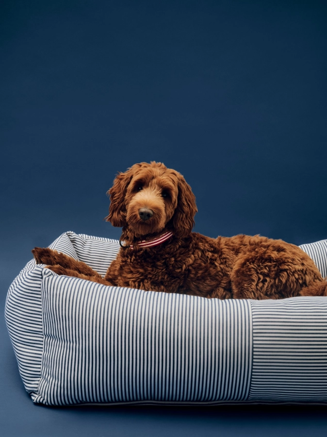 HAY Dogs Bed Zip L blue and white stripe_HAY Dogs Collar Flat M-L red and white stripe.jpg