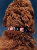 HAY Dogs Collar Flat M-L red and white stripe_01.jpg