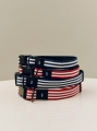 HAY Dogs Collar Flat family.jpg