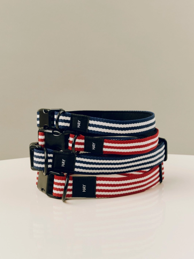 HAY Dogs Collar Flat family.jpg