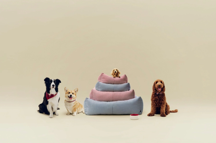 HAY Dogs Bed Zip family.jpg