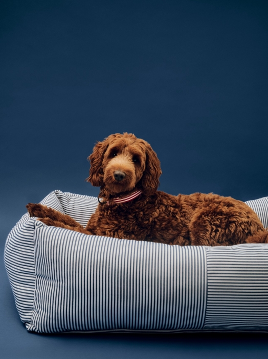 HAY Dogs Bed Zip L blue and white stripe_HAY Dogs Collar Flat M-L red and white stripe.jpg