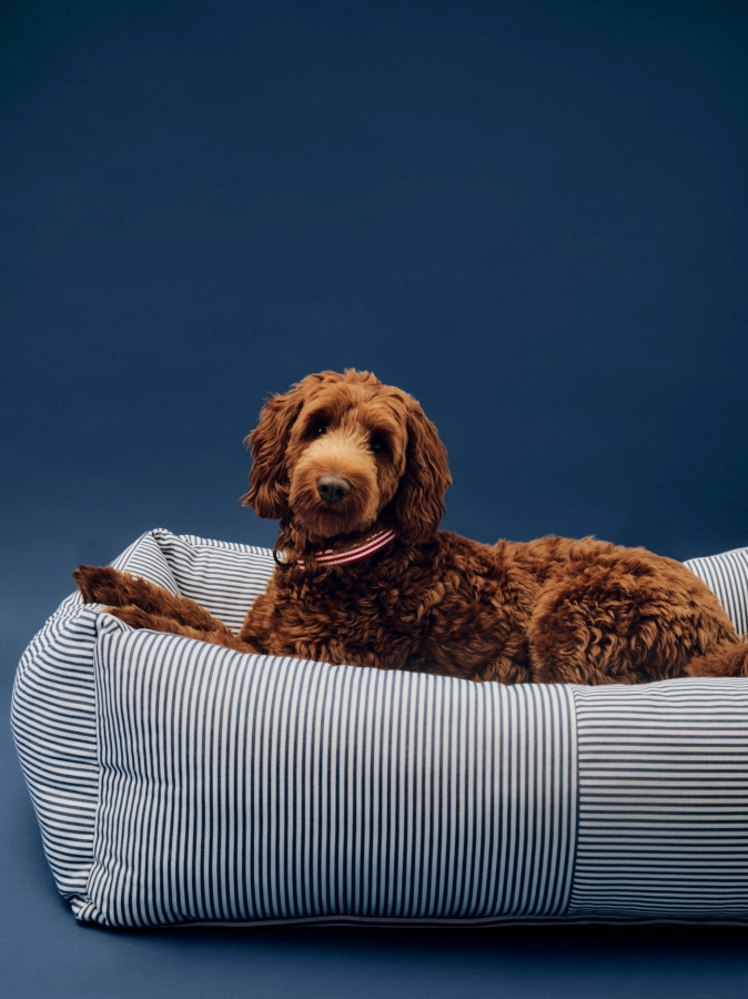 HAY Dogs Bed Zip L blue and white stripe_HAY Dogs Collar Flat M-L red and white stripe.jpg