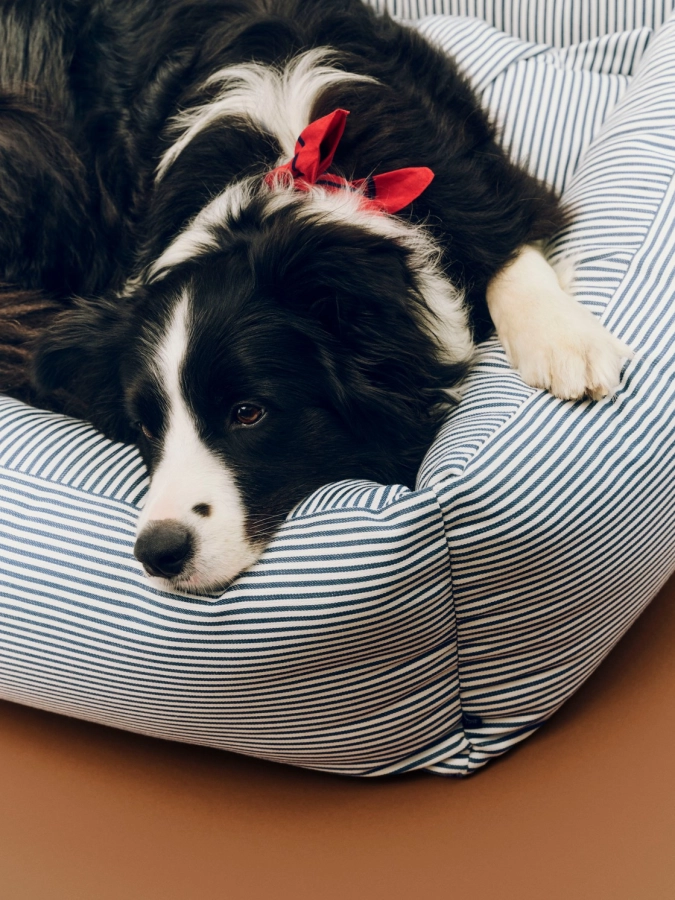 HAY Dogs Bed Zip L blue and white stripe_HAY Dogs Scarf Recycled red_02.jpg