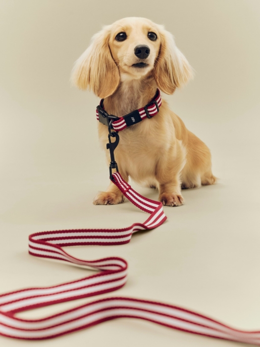 HAY Dogs Collar Flat S-M red and white stripe_HAY dogs Leash red and white stripe_02.jpg