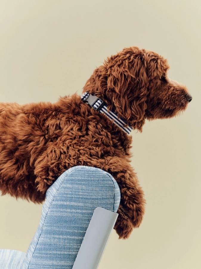 HAY Dogs Collar Flat M-L blue and white stripe_01.jpg