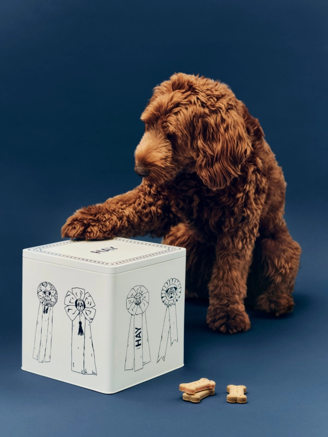 HAY Dogs Food Storage Tin_01.jpg