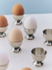 Essential Steel Egg Cup_01.jpg