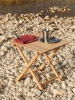 Outdoor Market Folding Table S_Outdoor Market Steel Plate_Outdoor Market Steel Cup stainless steel_Outdoor Market Tea Towel red with beige stripe.jpg