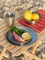 Outdoor Market Steel Plate_Outdoor Market Steel Cup_Outdoor Market Steel Bowl_Outdoor Market Tea Towel red with beige stripe.jpg