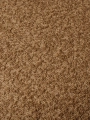 Raw-boucle_tan_closeup.jpg.webp