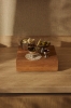 TEAK CUBE LARGE.jpg
