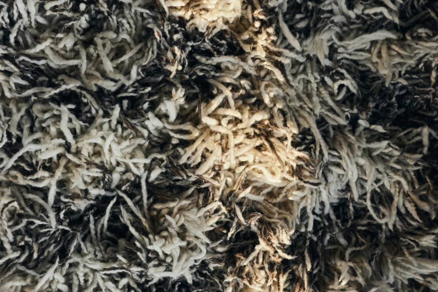 dywan SHAGGY 200x300cm, checkers.jpg