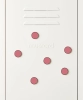 MUSTARD zestaw 6 magnesów THE BUTTONS berry.webp