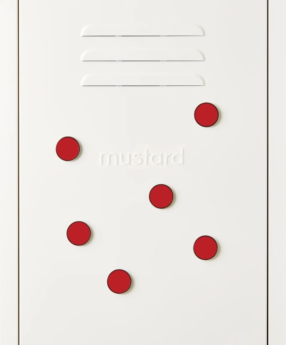 MUSTARD zestaw 6 magnesów THE BUTTONS poppy.webp