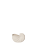 FERM LIVING doniczka / wazon / dekoracja SHELL S.png