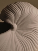 FERM LIVING doniczka / wazon / dekoracja SHELL M.jpeg