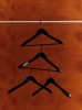 Smooth Coat Hanger family.jpg