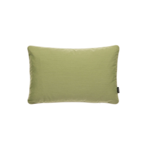 OLIVE.jpg