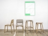 22_ton_leaf_03032016_01_161-edit-flat.jpg
