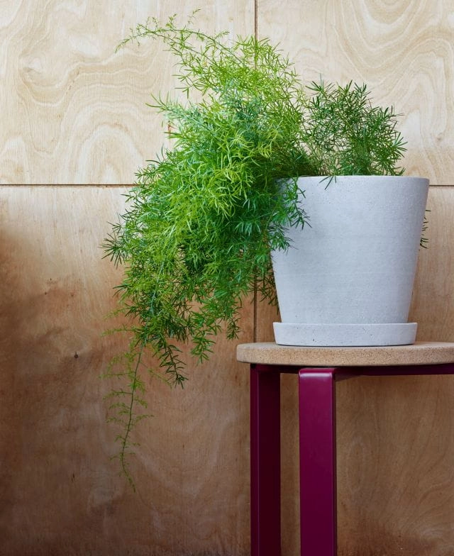 Flowerpot XL grey (2).jpg