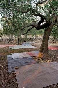 KRISTALIA dywan MUSTACHE - GA 