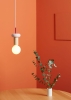 SCHNEID lampa wisząca JUNIT